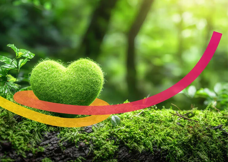 Nachhaltigkeit bei Prosoz